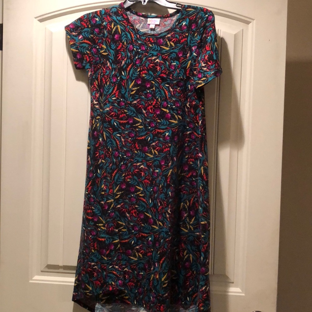 LuLaRoe Sweet Spring Dress